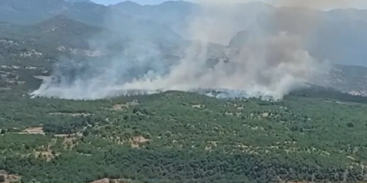 CPT: Türkiye, Federe Kürdistan Bölgesi’ni 23 defa bombaladı