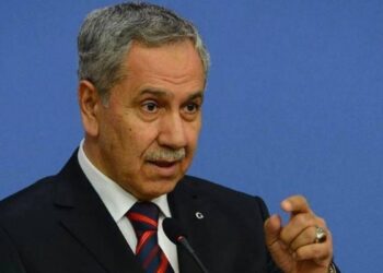 Arınç: Umut hakkı önemli bir haktır