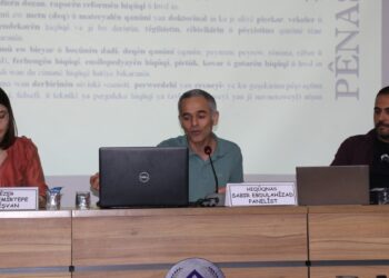 ‘Kürtçe hukuk literatürünün oluşturulması gerekiyor’