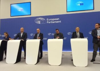 AP Kürt Çalışma Grubu: Temel özgürlükler güvence altına alınmalı