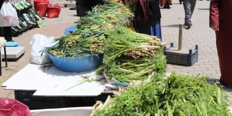 Wan dağlarından pazar tezgahlarına