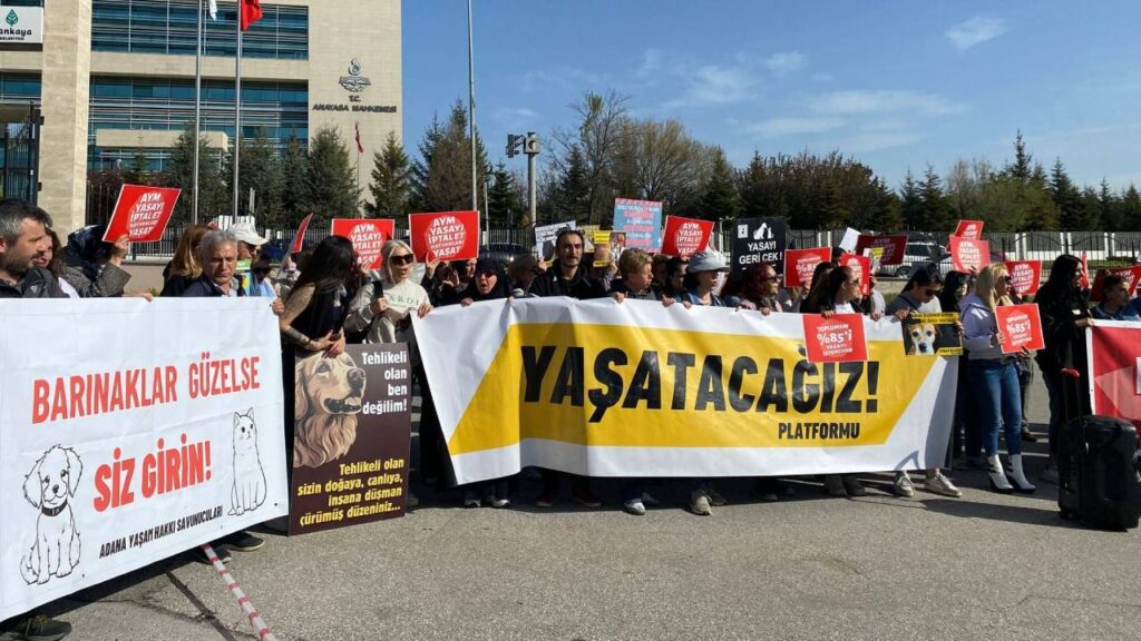 AYM'de Tarihi Gün: 'Katliam Yasası' Görüşülecek... Hayvan Hakları Savunucuları Nöbette