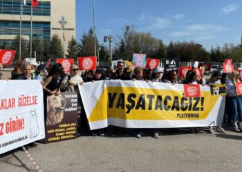 AYM'de Tarihi Gün: 'Katliam Yasası' Görüşülecek... Hayvan Hakları Savunucuları Nöbette