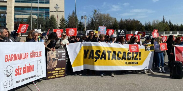 AYM'de Tarihi Gün: 'Katliam Yasası' Görüşülecek... Hayvan Hakları Savunucuları Nöbette