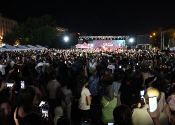 Amed Kadın Emek ve Kültür Sanat Buluşması konserle son buldu