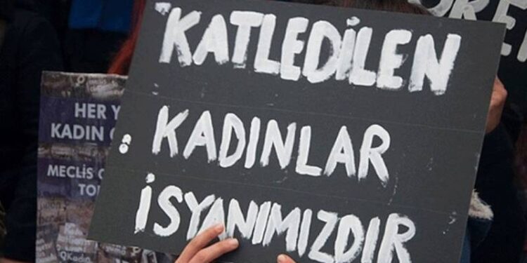 Bahar Aksu'yu katleden Rüstem Elibol'un ifadesi ortaya çıktı