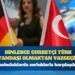 Binlerce gurbetçi Türk vatandaşı olmaktan vazgeçiyor