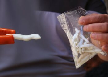 Bu Sakızın Fiyatı Yarım Altınla Yarışıyor! Faydaları Saymakla Bitmiyor, Bir Kez Satın Alan Vazgeçemiyor