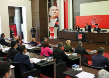 CHP'den sokak hayvanları için yeni adım; 'Bakımevleri İzleme Komisyonu' kuruldu