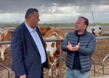 CHP'li Gürer'den İktidara 'Çiğ Süt' Çağrısı