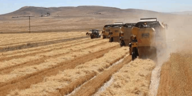 CHP'li Gürer'den Tarım Sayımı Çıkışı: 22 Yıldır Sayım Yapılmadı