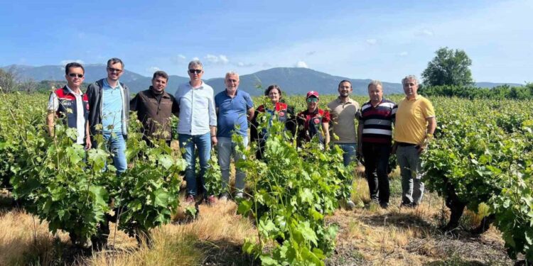 Çanakkale'de Don Felaketi Sonrasında Önemli İnceleme