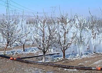 Çiftçi Borçta, Komisyondan Ses Yok! Tarım İçin Alarm Zilleri Çalıyor
