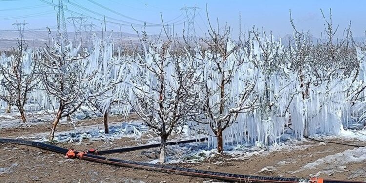 Çiftçi Borçta, Komisyondan Ses Yok! Tarım İçin Alarm Zilleri Çalıyor