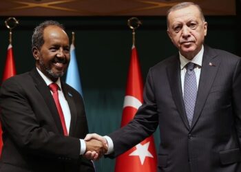 Cumhurbaşkanı Erdoğan, Somali Cumhurbaşkanı Mahmud ile Görüştü