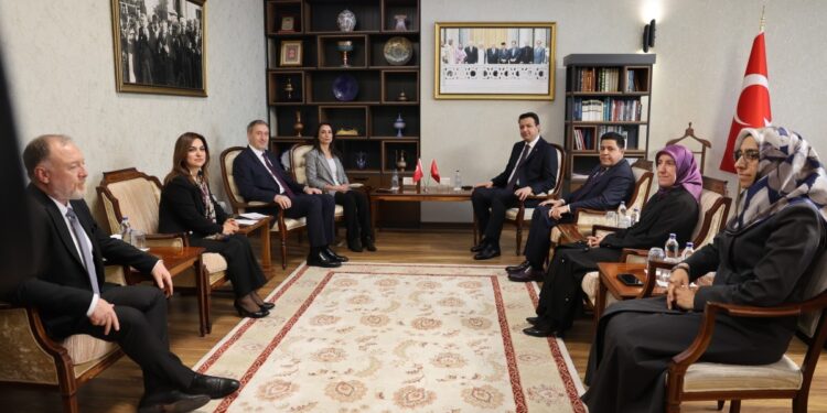 DEM Parti'den siyasi partilere  'tam yetkili komisyon' önerisi