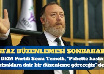 DEM Partili Sezai Temelli açıkladı: AKP “risk barındırdığını” söyledi, infaz düzenlemesi sonbahara kaldı