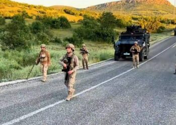 Diyarbakır'da Dev Operasyon: 7,5 Milyon Kök Kenevir Ele Geçirildi