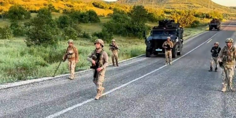 Diyarbakır'da Dev Operasyon: 7,5 Milyon Kök Kenevir Ele Geçirildi