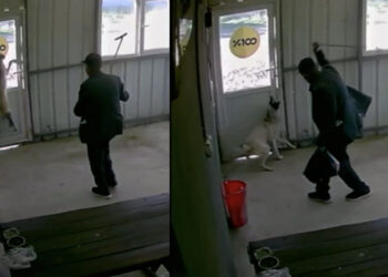 Edirne'de 5 aylık köpek köy sakini tarafından bastonla dövüldü!