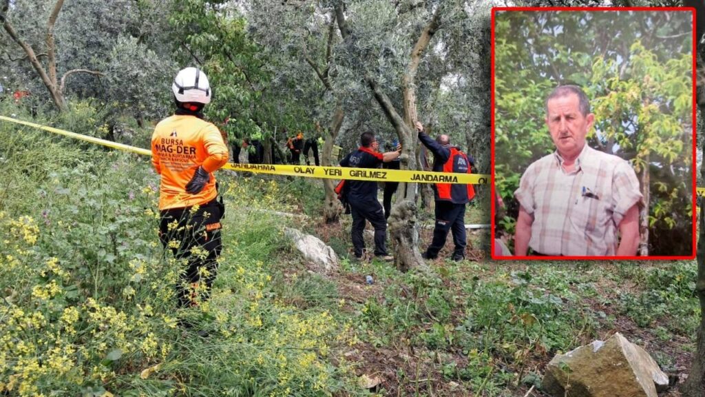 Emekli Öğretmenin Kahreden Ölümü! Her Yerde Aranıyordu, Ağaca Asılı Halde Bulundu