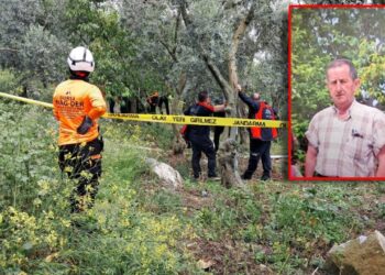 Emekli Öğretmenin Kahreden Ölümü! Her Yerde Aranıyordu, Ağaca Asılı Halde Bulundu