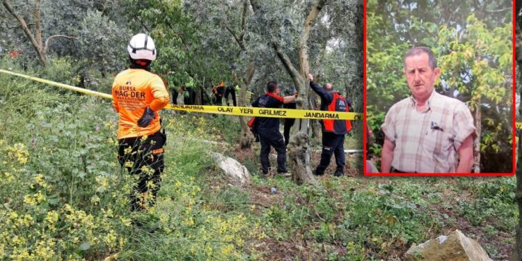 Emekli Öğretmenin Kahreden Ölümü! Her Yerde Aranıyordu, Ağaca Asılı Halde Bulundu