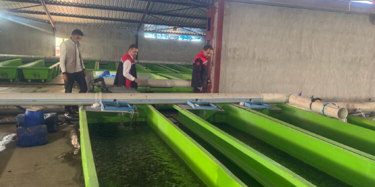 Erzincan'da su ürünlerinin üretim kapasitesinde artış sağlandı