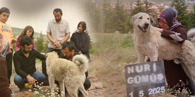 Garip'ten Dostuna Herkesi Ağlatan Büyük Vefa! Sabah Akşam Mezarı Başından Hiç Ayrılmadı