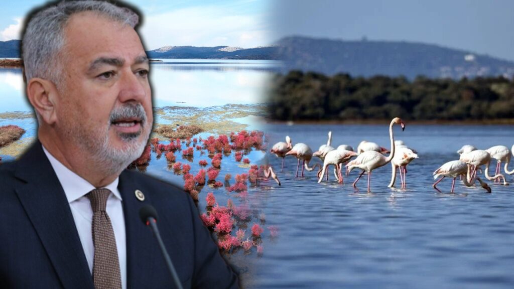 Gerçek Gündem, Gündeme Getirmişti... Milas'ı Yok Edecek Ağaoğlu ve Doğuş Tehlikesi Meclis'te