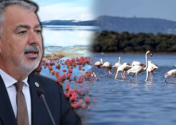 Gerçek Gündem, Gündeme Getirmişti... Milas'ı Yok Edecek Ağaoğlu ve Doğuş Tehlikesi Meclis'te