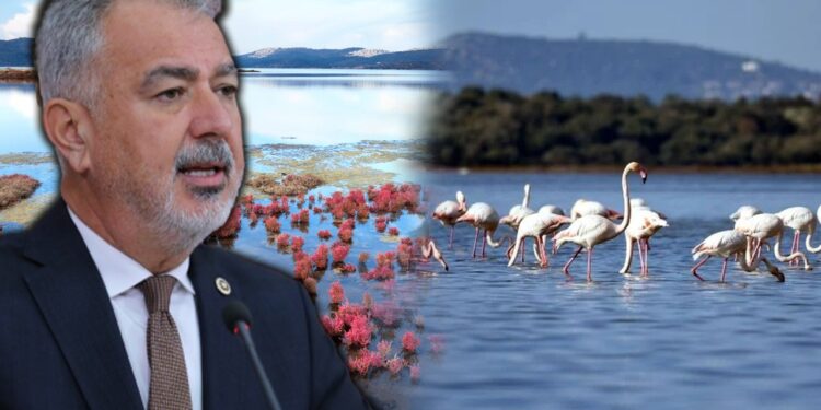 Gerçek Gündem, Gündeme Getirmişti... Milas'ı Yok Edecek Ağaoğlu ve Doğuş Tehlikesi Meclis'te