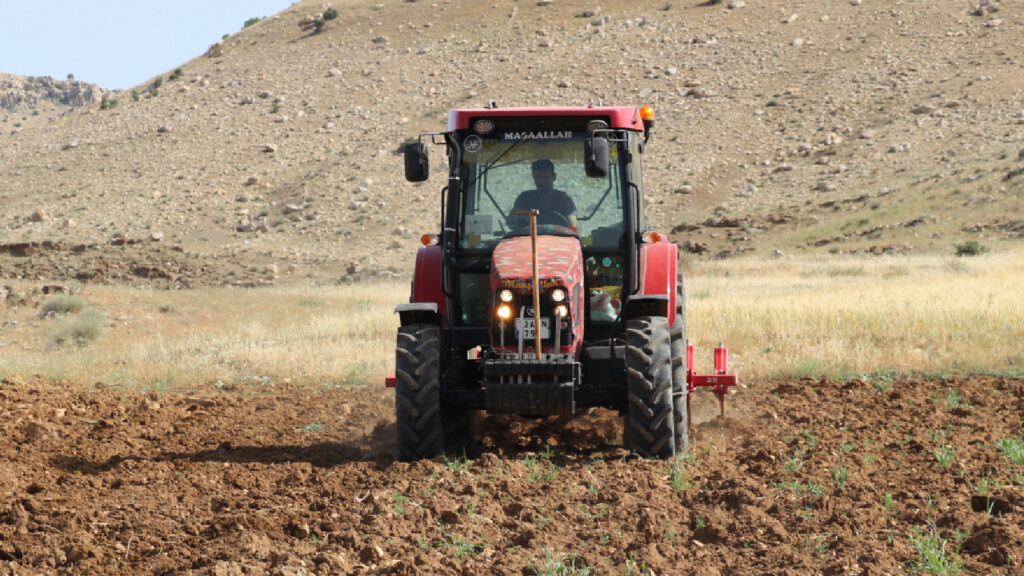Gercüş Ovası'nda kavun ve karpuz mesaisi başladı