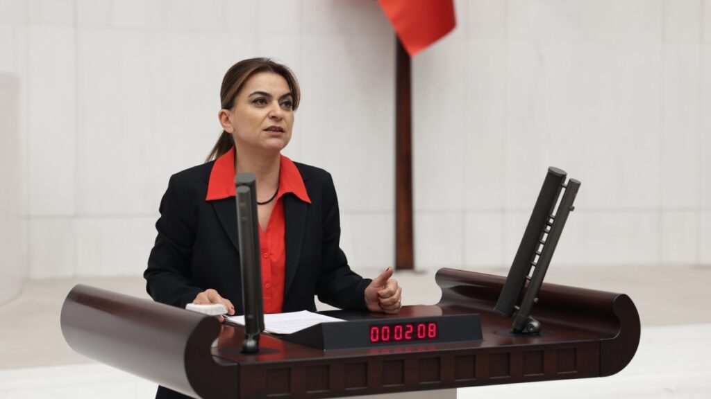 Gülistan Kılıç Koçyiğit: 'Kovid-19' düzenlemesini paketten çıkaran AKP'dir