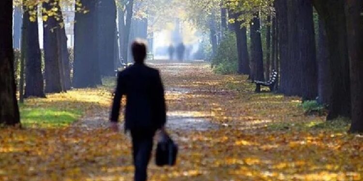 Hanehalkı sayısı 3 kişiye düştü; her 5 kişiden biri yalnız yaşıyor