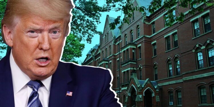 Harvard Üniversitesi'nin Fonunu Kesmişti! Trump Bu Parayla Ne Yapacak? İlk Kez Açıkladı