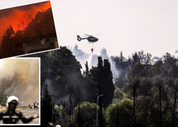 İsrail Alevler İçinde: Orman Yangınları Felakete Dönüşüyor! Netanyahu'dan Kundaklama İddiası