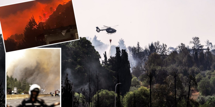 İsrail Alevler İçinde: Orman Yangınları Felakete Dönüşüyor! Netanyahu'dan Kundaklama İddiası