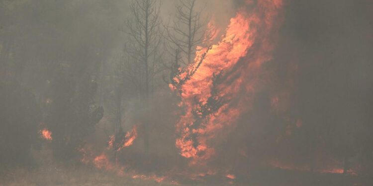 İsrail’de tarihinin en büyük yangını: Filistin yardım teklif etti
