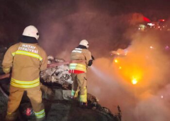 İzmir'de orman yangını çıkaran 5 defineci tutuklandı