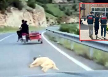 Köpeği Motosikletle Sürükleyen Vicdansıza Gözaltı!