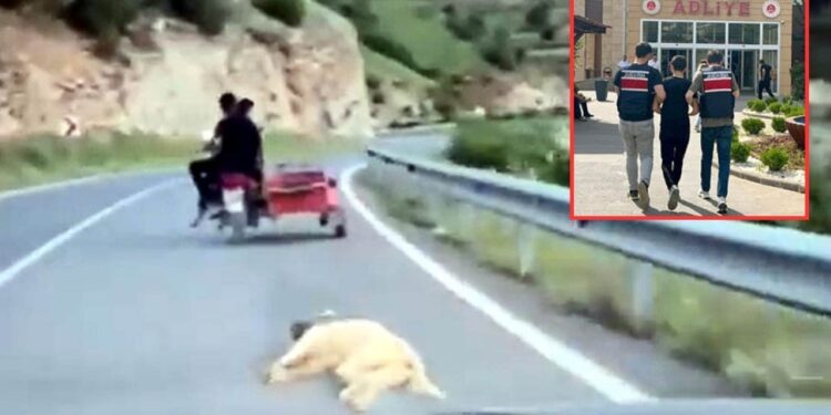 Köpeği Motosikletle Sürükleyen Vicdansıza Gözaltı!