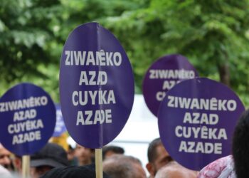 'Kürtçe resmi ve eğitim dili olsun' çağrısı