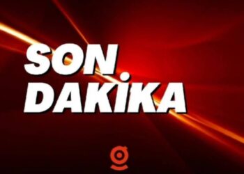 Merkez Bankası'ndan 'Papara' Açıklaması! Kayyım Atandı, İşlemlere Günlük Sınır Getirildi