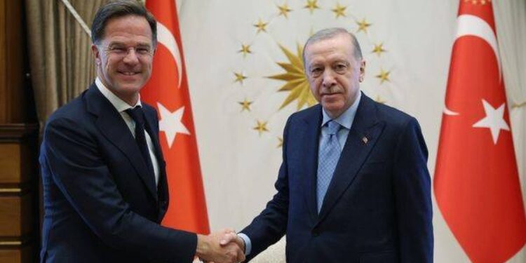 NATO Genel Sekreteri Rutte Erdoğan ile görüştü