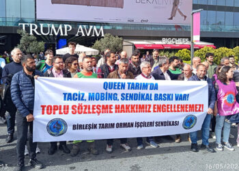 Queen işçileri kimsenin kölesi değil