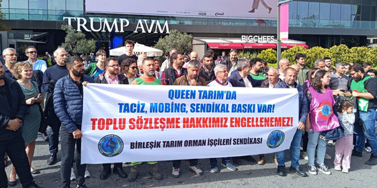 Queen işçileri kimsenin kölesi değil