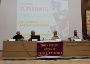 Riha ve İstanbul'da anadil etkinlikleri