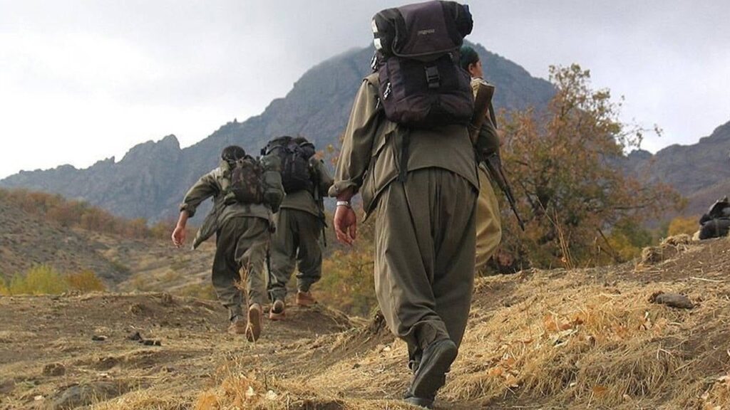 Selvi'den PKK ve MİT iddiası