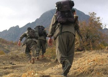Selvi'den PKK ve MİT iddiası
